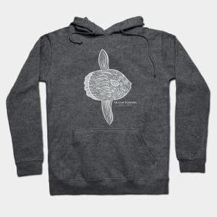 Ocean Sunfish or Mola with Common and Latin Names - fish drawing Hoodie